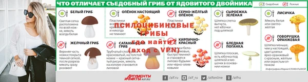 дживик Арсеньев