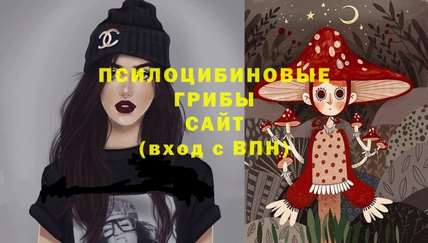 дживик Арсеньев