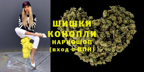 дживик Арсеньев