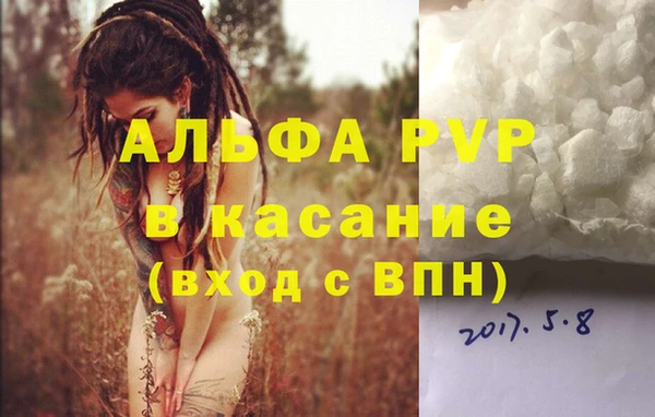 дживик Арсеньев