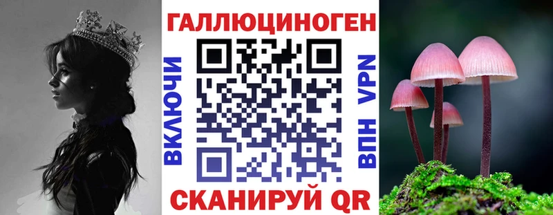 продажа наркотиков  Усть-Джегута  Псилоцибиновые грибы Psilocybe 